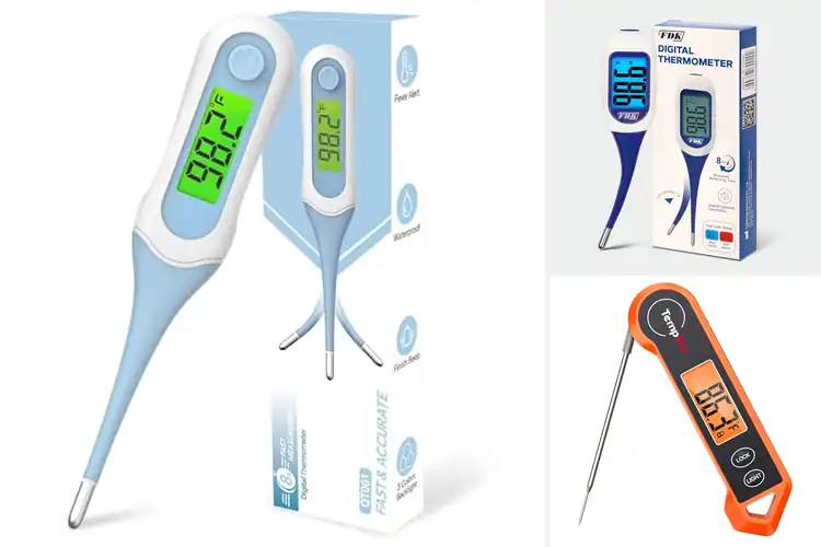 Detailed view of Best Backlit Thermometers