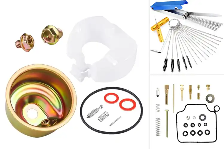 Detailed view of Best Carburetor Repair Kits