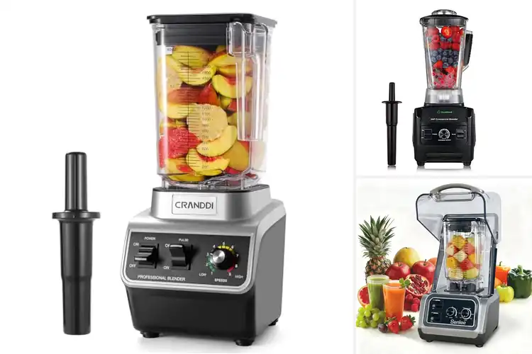 Detailed view of Best Commercial Beverage Blenders