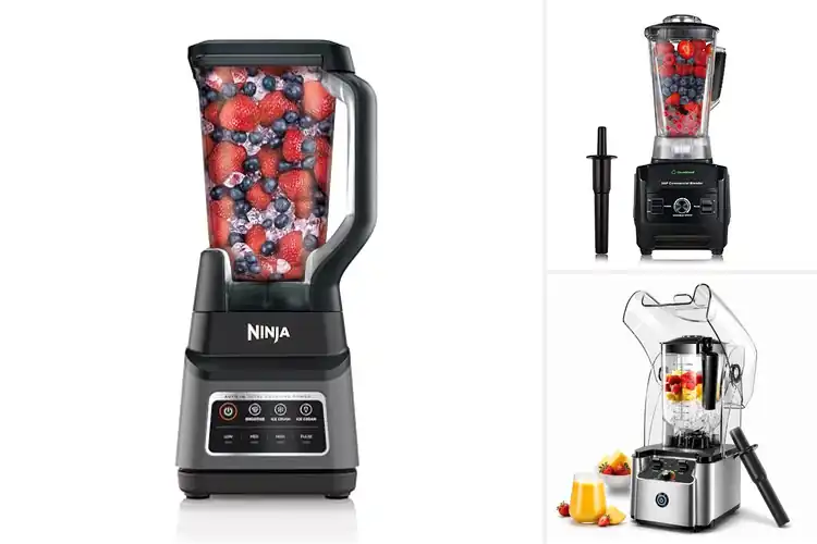 Detailed view of Best Commercial Drink Blenders