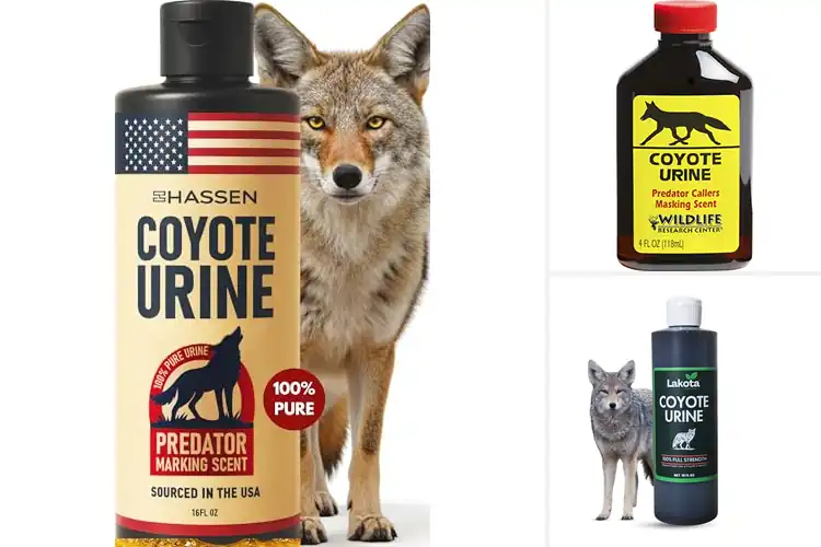 Detailed view of Best Coyote Urines: Top 10 Natural Pest Deterrents Reviewed