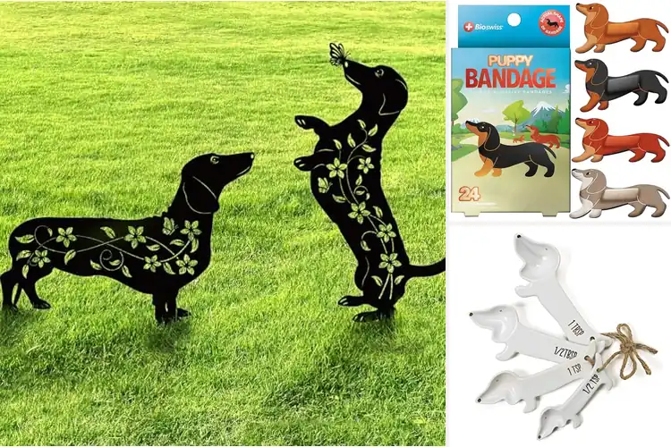 Detailed view of Best Dachshund Gifts: 10 Unique Finds for Every Pup Parent