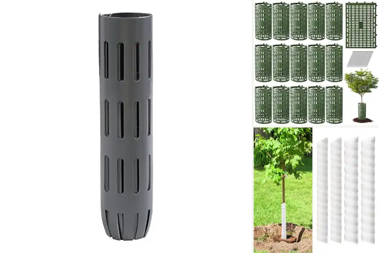 Detailed view of Best Eco Friendly Tree Protectors