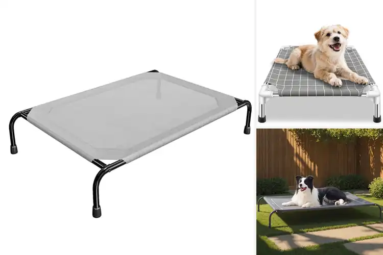 Detailed view of Best Elevated Pet Beds Top Picks for Comfort & Support