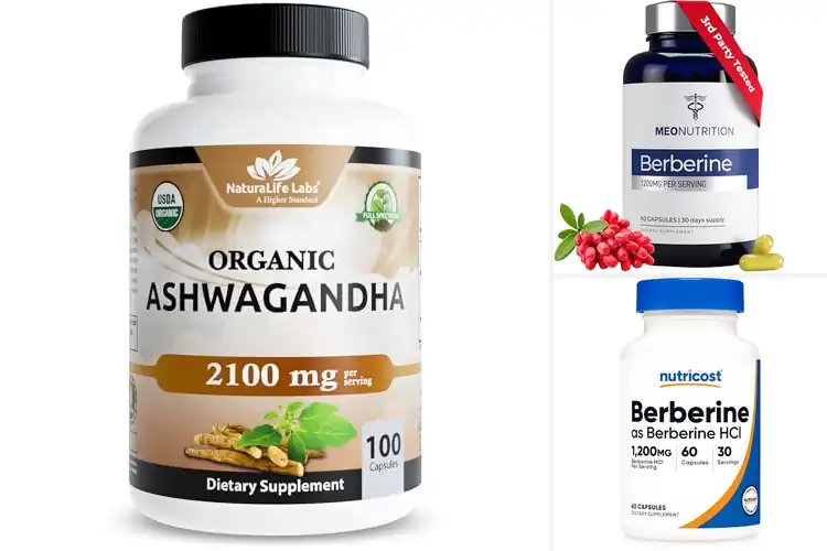 Detailed view of Best GMP Certified Supplements