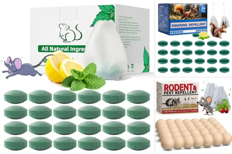Detailed view of Best Natural Deterrents