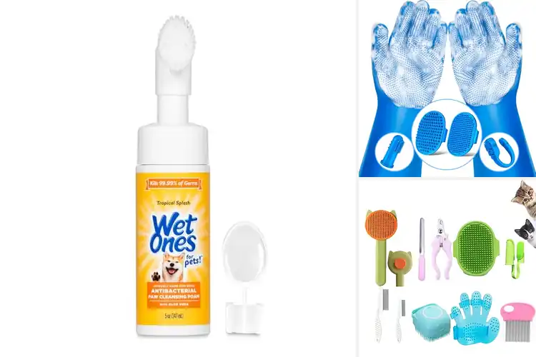 Detailed view of Best Pet Care Accessories: Top Picks for Happy Pets