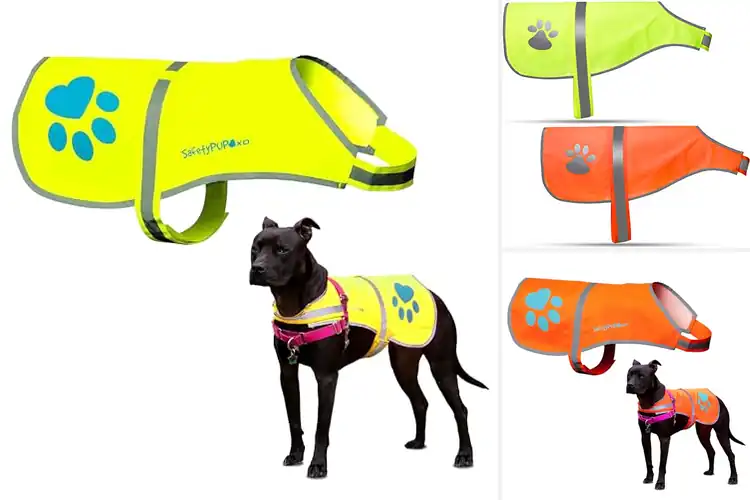 Detailed view of Best Reflective Dog Vests: Top 10 Picks for Safety & Comfort