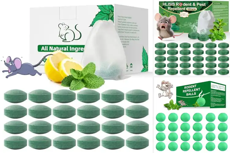 Detailed view of Best Rodent Repellents
