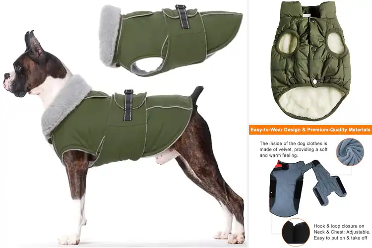 Detailed view of Best Warm Dog Jackets: Top 10 Cozy Picks for Winter