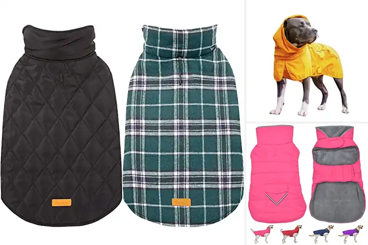 Detailed view of Best Waterproof Dog Coats